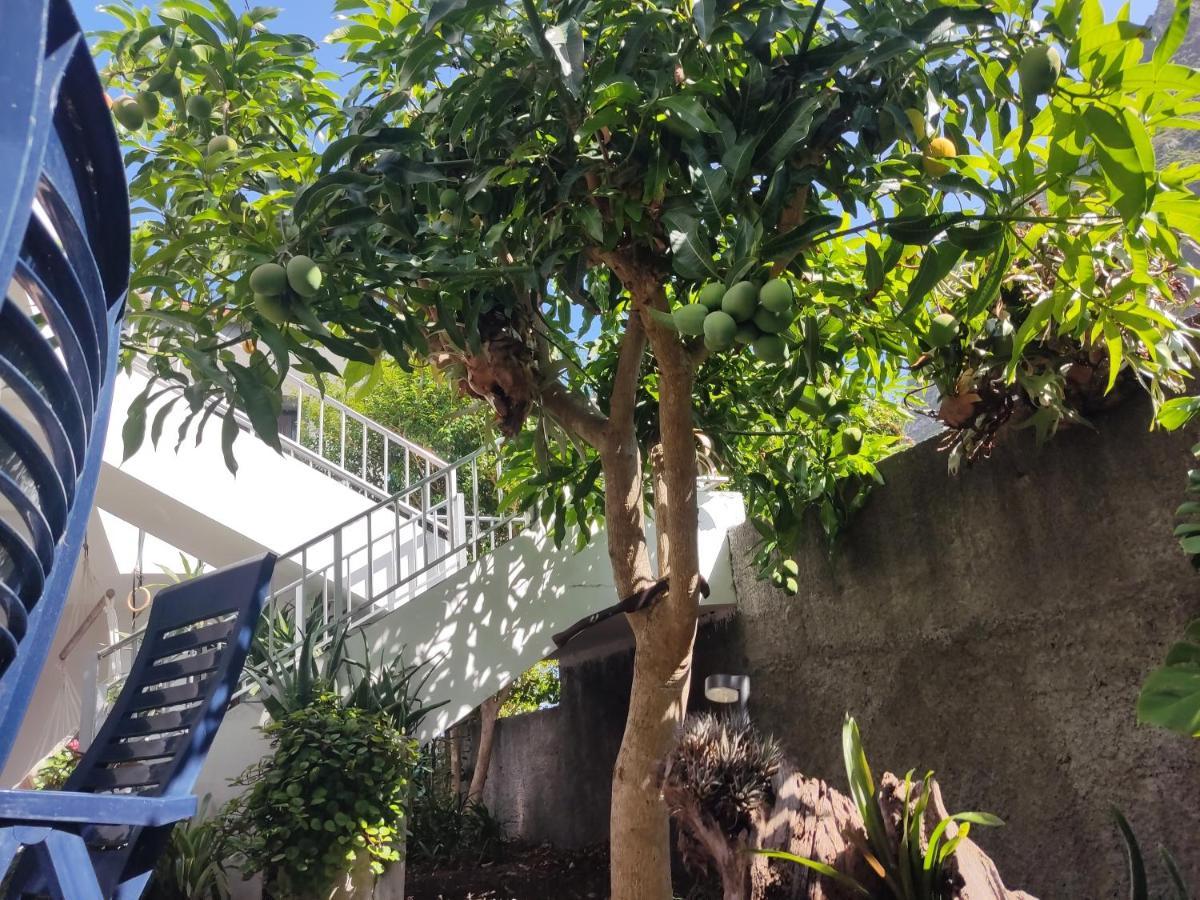 Casa Da Avo Rosa Apartment Sao Vicente  Bagian luar foto