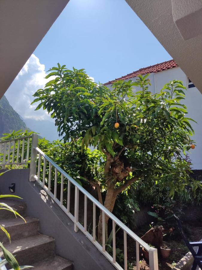 Casa Da Avo Rosa Apartment Sao Vicente  Bagian luar foto