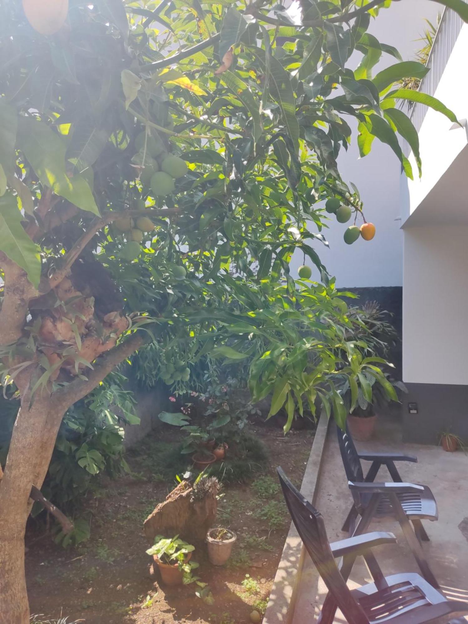 Casa Da Avo Rosa Apartment Sao Vicente  Bagian luar foto